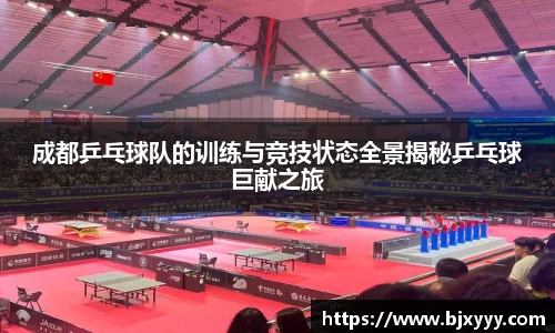 成都乒乓球队的训练与竞技状态全景揭秘乒乓球巨献之旅