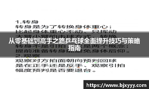 从零基础到高手之路乒乓球全面提升技巧与策略指南